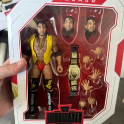 Wwe Toy
