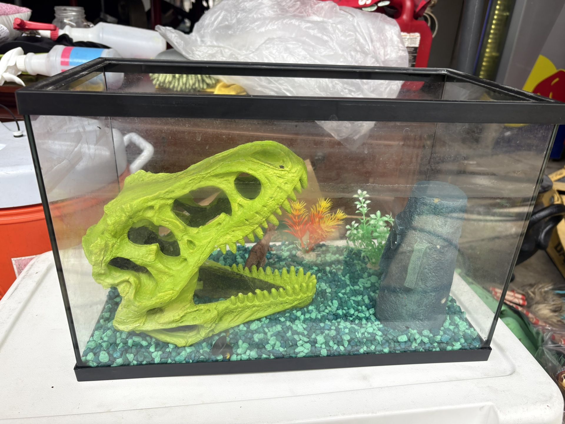 Fish Tank