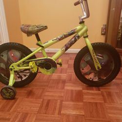 Ninja Turtle Bicycle