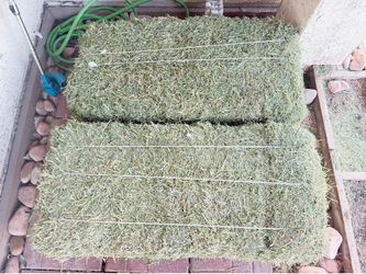 2 rectangular bales for sale