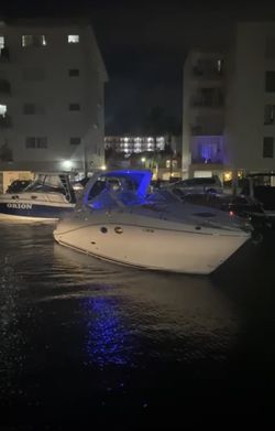 Día Bote / Boat Day