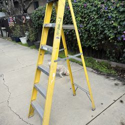 6 Foot Fiberglass Ladder