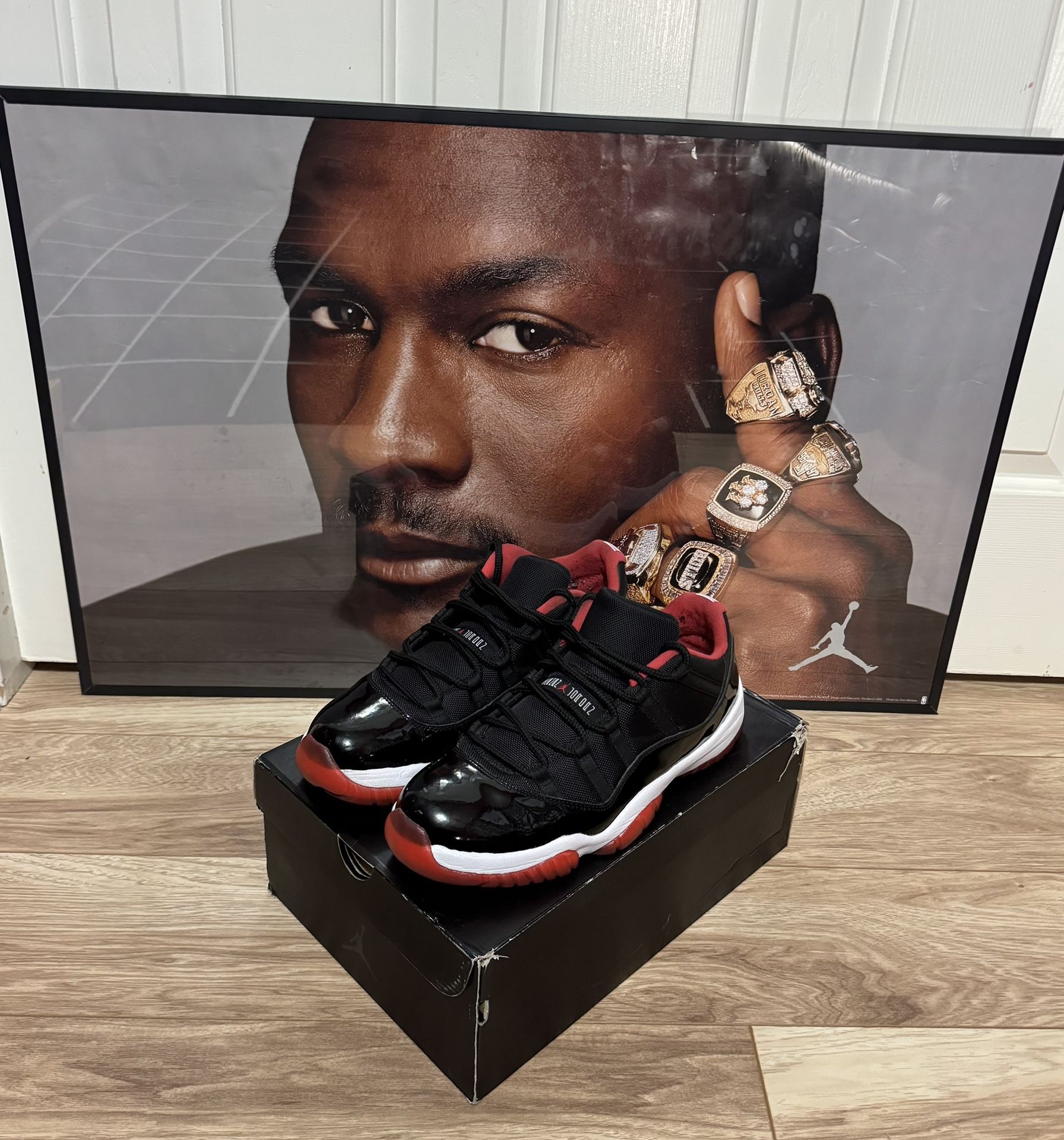 Jordan 11 Low Size 13