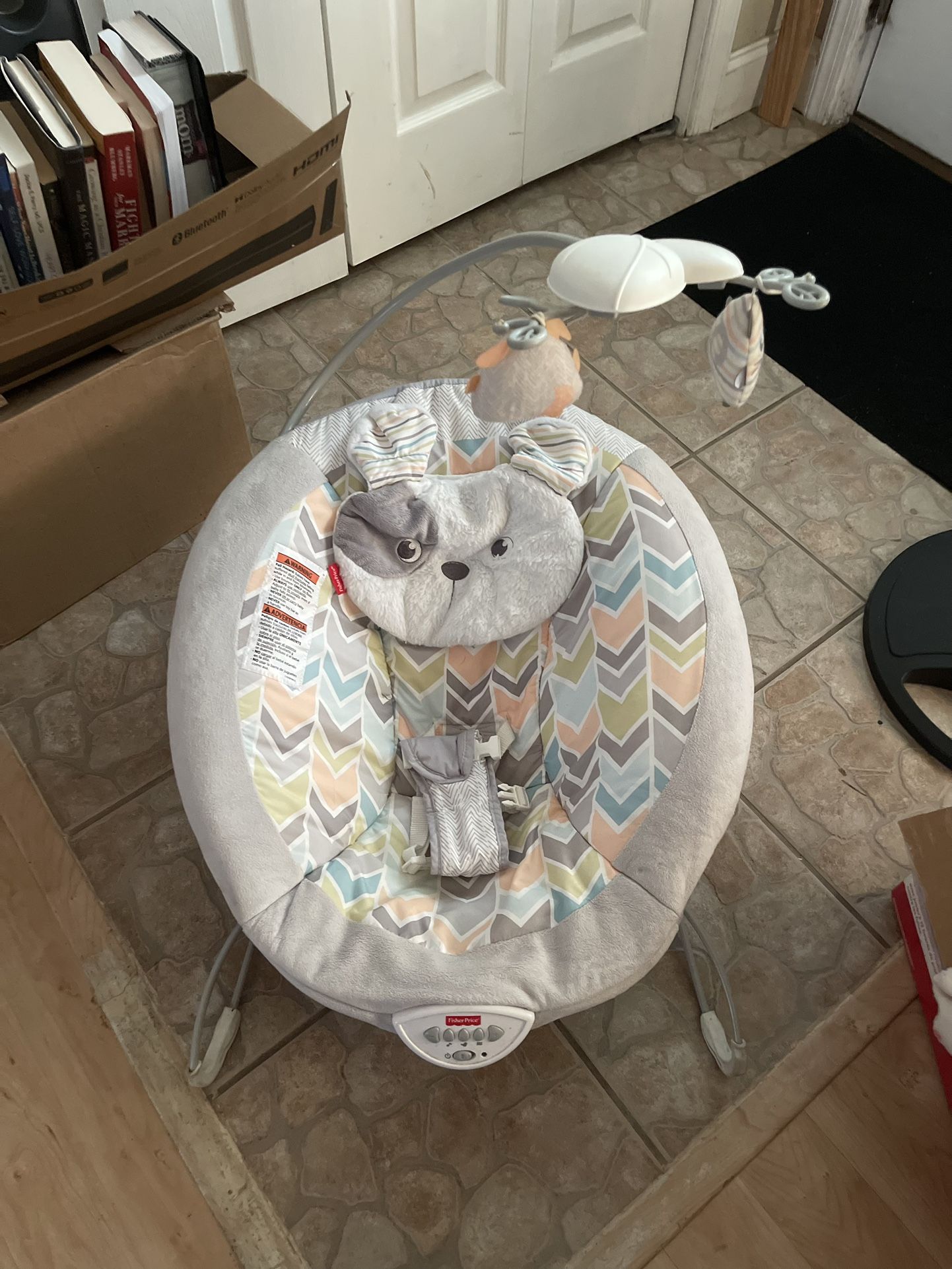 Baby Bouncer (Fisher Price)