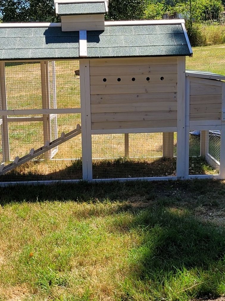 Chicken Tractor/ Coop