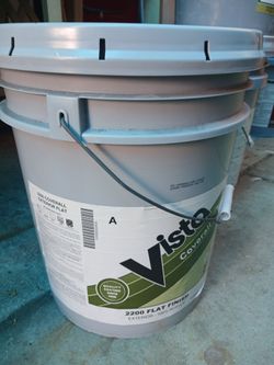 Exterior flat paint