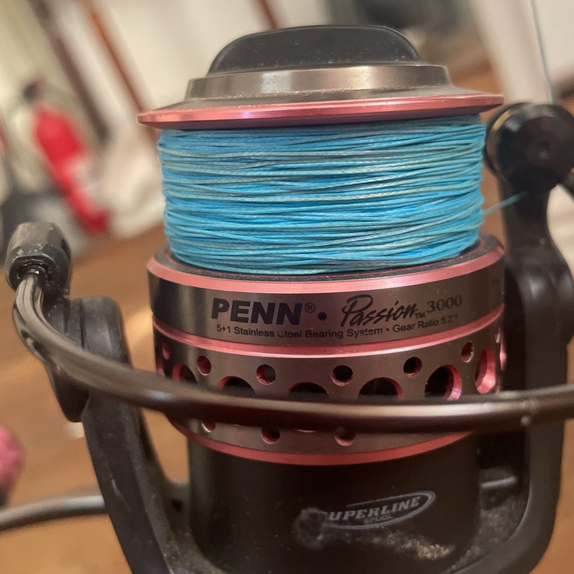 Fishing Rods Penn Passion