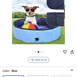Small Dog Pool