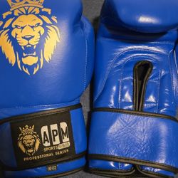 16 Oz Boxing Gloves  Never Used  $40