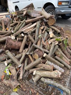 Free wood