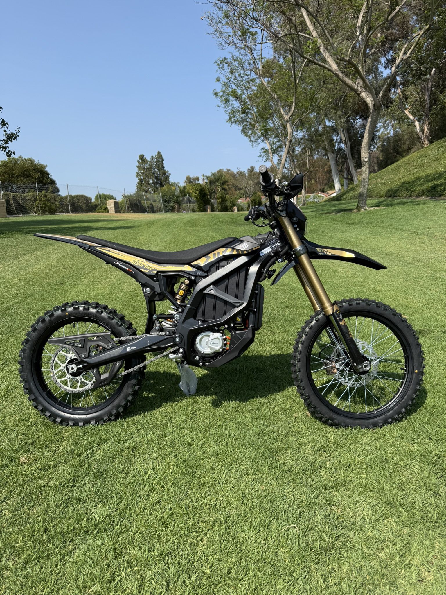 2025 Surron Ultra Bee (New)