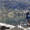Alma Hikes (Make Me An Offer)