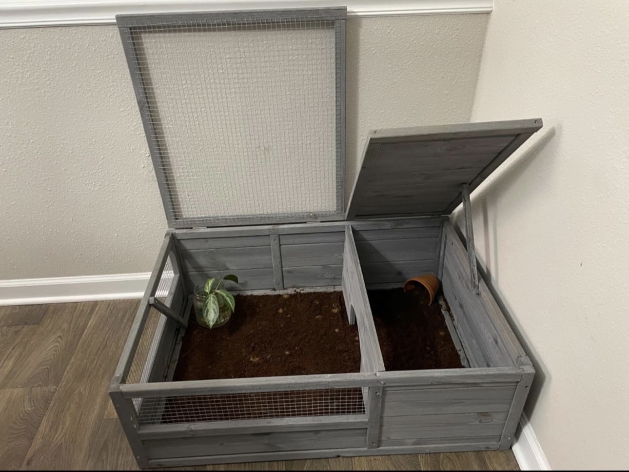 Tortoise Habitat