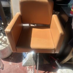 Salon Chair