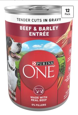 Purina ONE Wet Dog Food 12-Pack