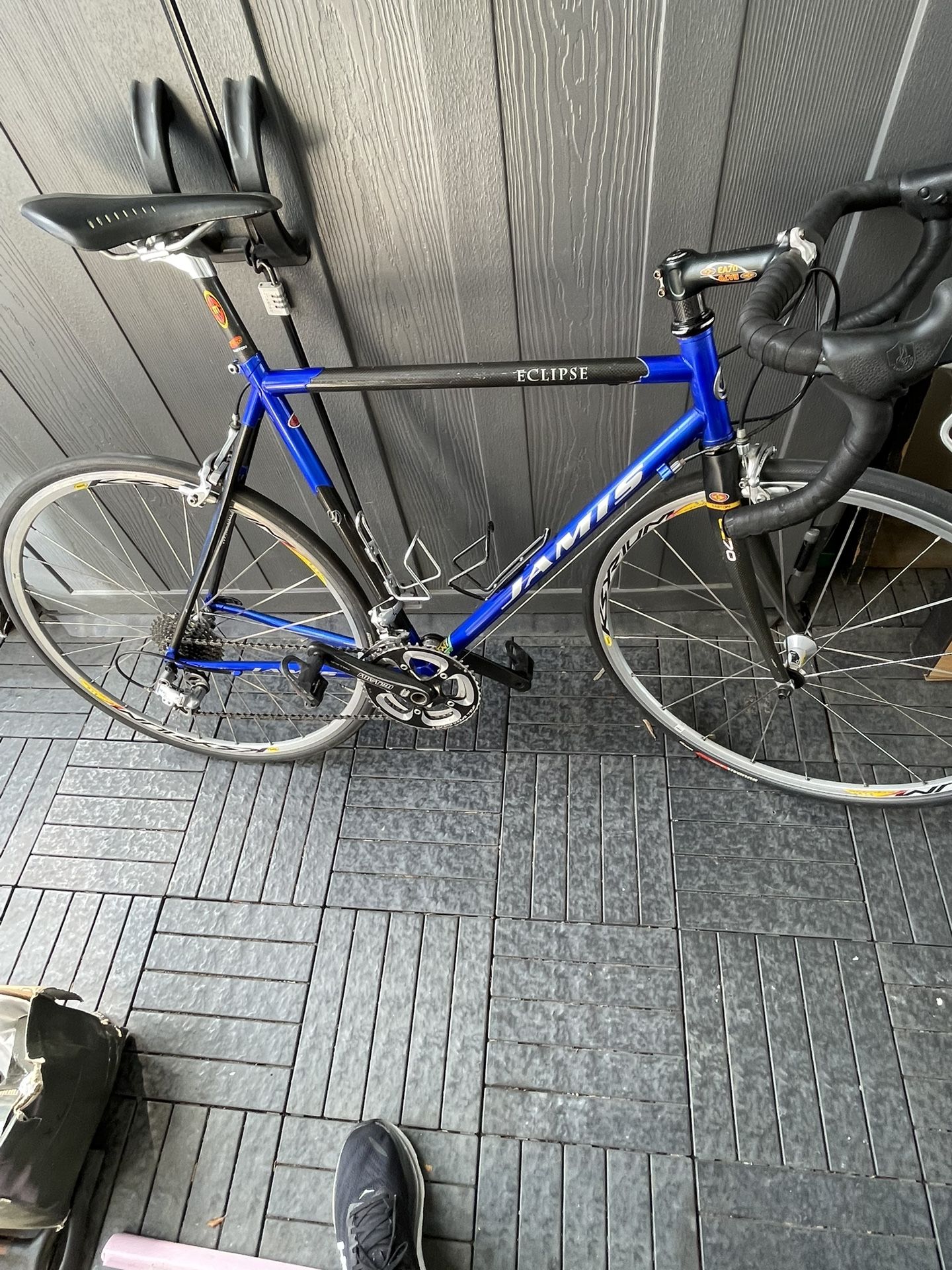 Jamis Carbon Fiber Campagnolo $450