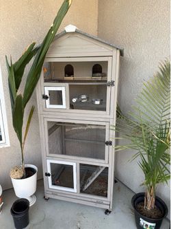 Bird cages