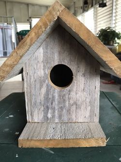 Birds House 