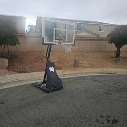 Free Basketball Hoop