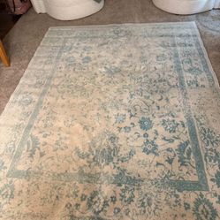 8x10 Area Rug
