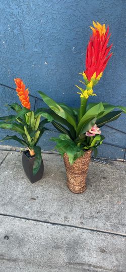 2 artificial plants. 2 x 15