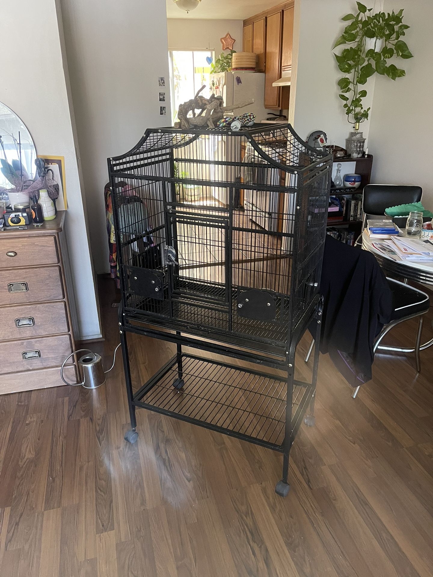 Bird Cage