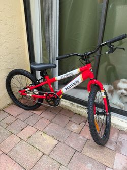 kids bicycle kids bike Florida panthers theme