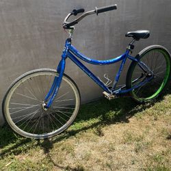 Beach Cruiser 