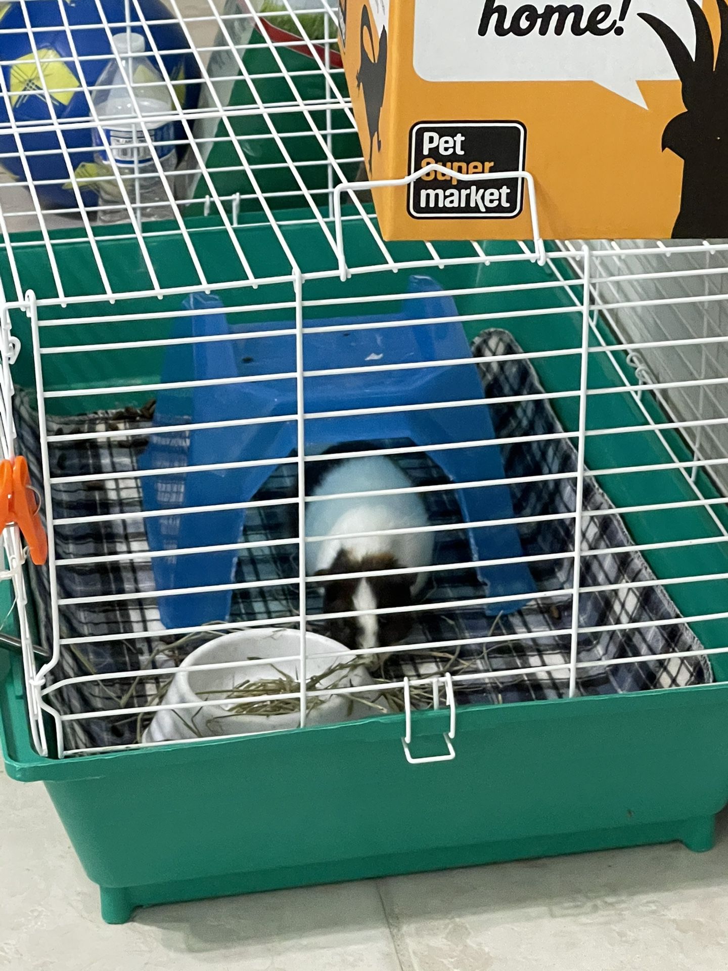 Guinea Pig ,  XL Case , Guinea Blue Large House And 2 Waterproof Mat . 