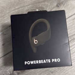Moss Green Beats Pro 185$ 