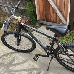 Schwinn Bike
