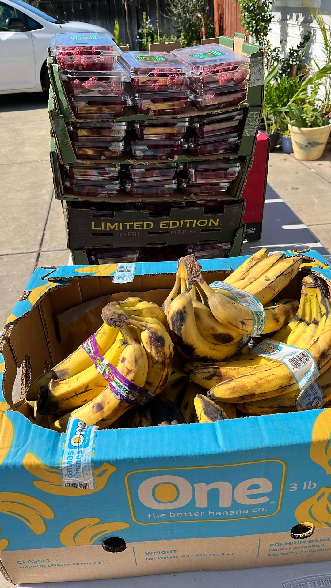 Produce For Animal Feed Available