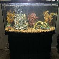 46 Gal Bow Front Aquarium with Filter Aquarium 
