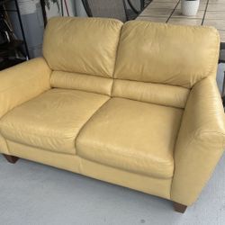 Loveseat Cauch