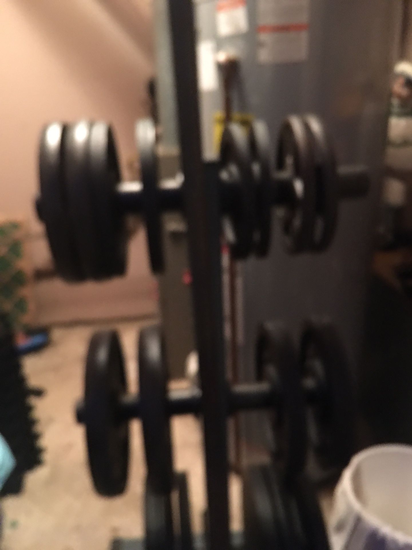 Olympic Free Weights Plus Olympic Bar And Weight Rack 