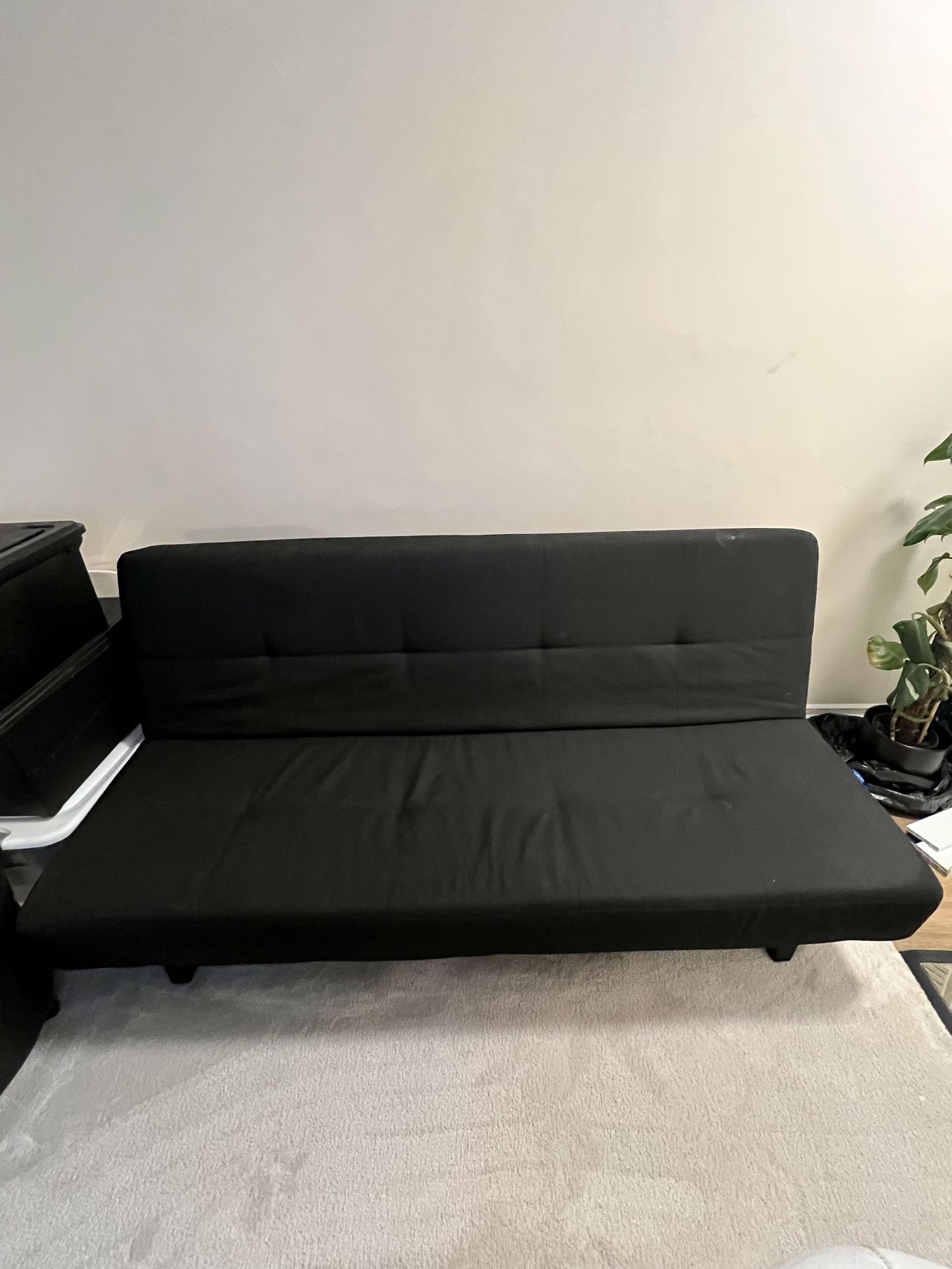 *Free* Sleeper Sofa  - IKEA Balkarp