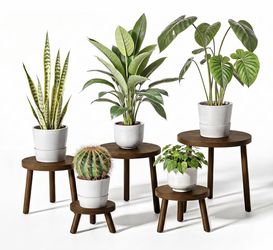 Wood Plant Stands – 5‑Pack | Dark Brown | Indoor Plant Stools