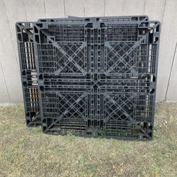 Plastic Pallets 