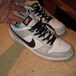 Nike Dunk Low "Lottery"