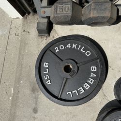 Olympic Plate Weight SET 250LBS