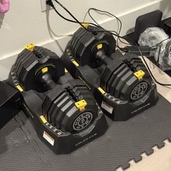 Golds Gym Multi Weight Dumbbells