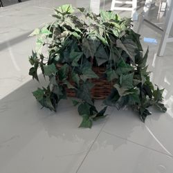 Beautiful Silk Plant In Basket