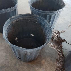botes usados para Plantas de 3 galones $1 cada uno 