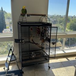 2 XL Parrot Bird Cages – Play Top + Standard – Clean – $100–$140