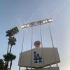 DodgerBlue