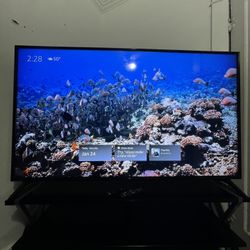 LG 4k 65in Tv with 4k Fire Stick 