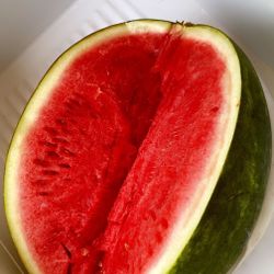 Sandias Sandías 🍉 