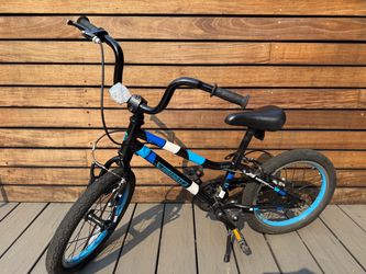 Guardian Ethos 16” Kids Bike