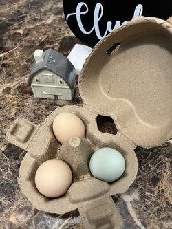 Egg Cartons
