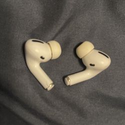 AirPods Pro  Missing The Charger Case 